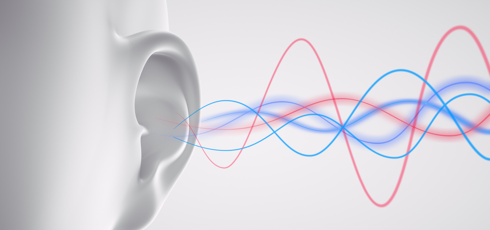 10 Things Your Ears Can Tell You About Your Health | Albany ENT & Allergy  Services | Blog
